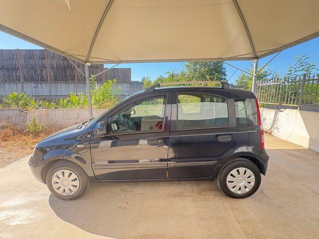 FIAT Panda 1.2 Dynamic OK NEOPATENTATI PRONTA CONSEGNA