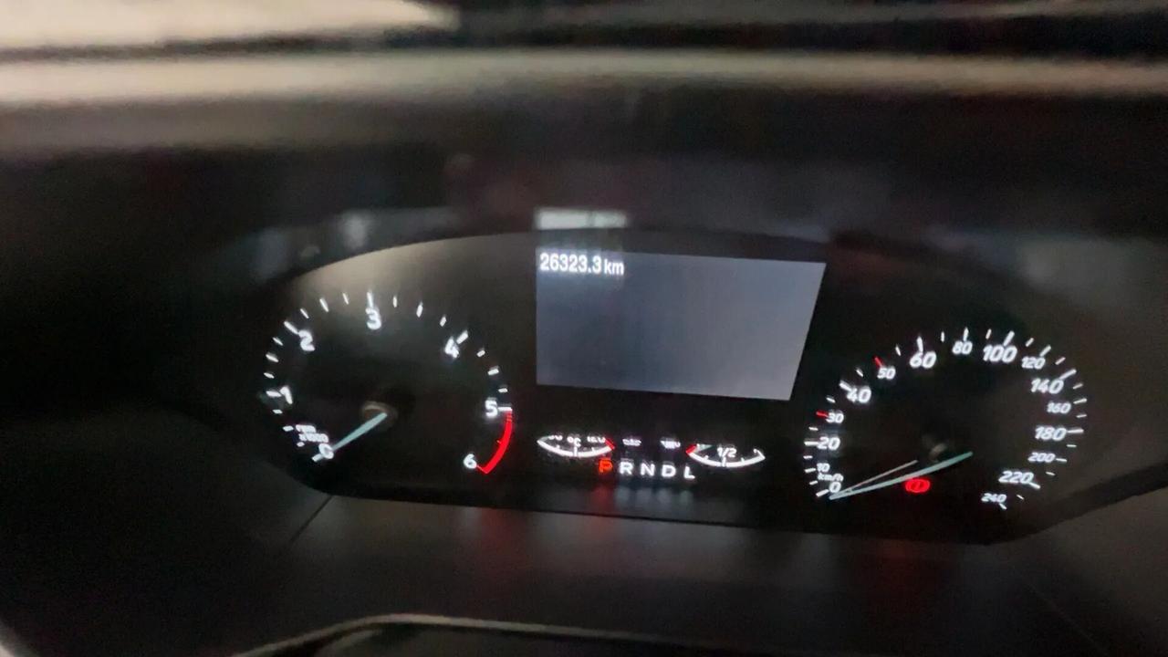 Ford Focus 1.5 EcoBlue 115 CV automatico 5p. ST-Line