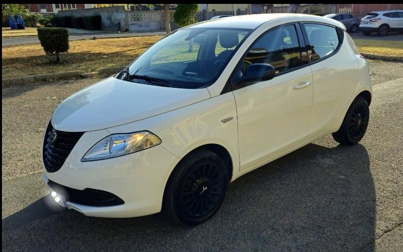 Lancia Ypsilon 1.3 MJT 16V 95 CV 5 porte S&S Elefantino