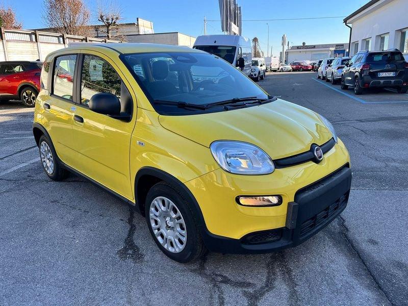 FIAT Panda 1.0 FireFly S&S Hybrid Pandina