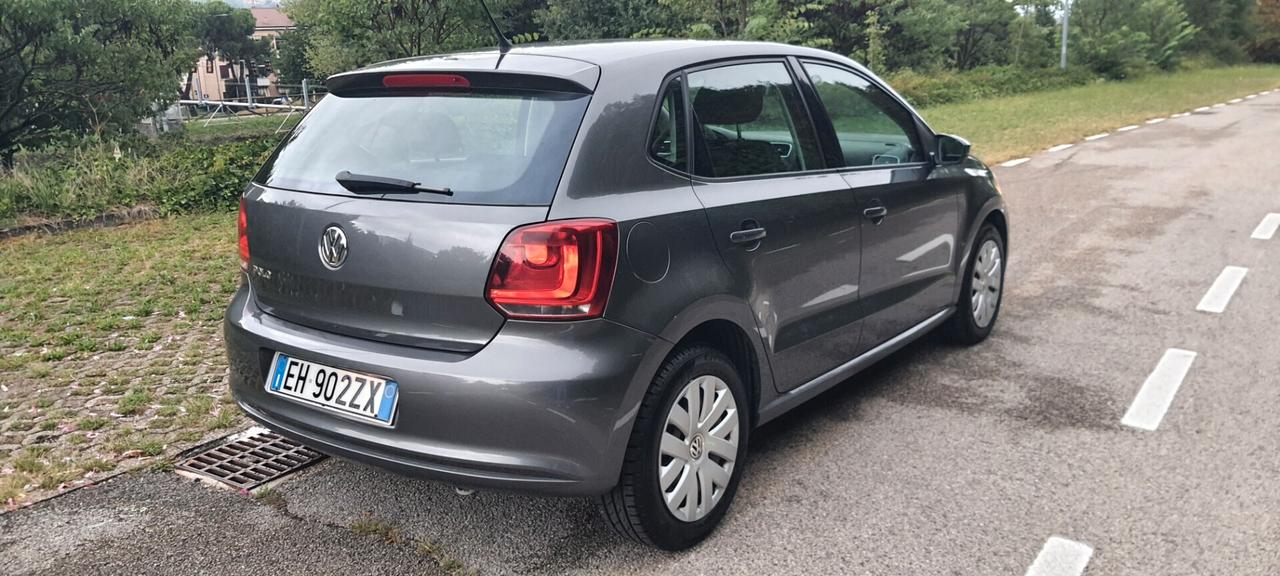 Volkswagen Polo 1.2 70 CV 5p. Comfortline