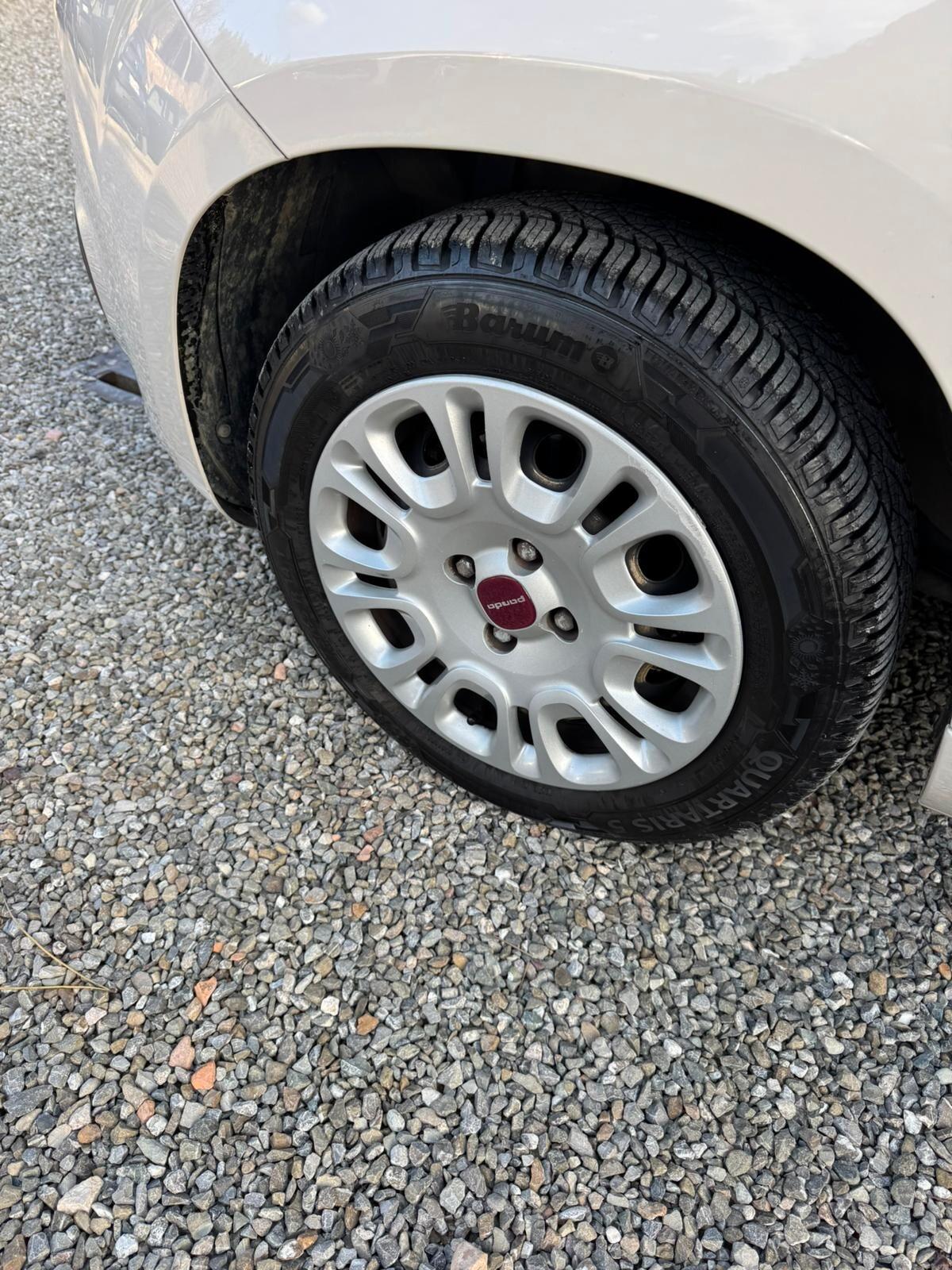 Fiat Panda 1.2 Lounge CINGHIA DISTR. CAMBIATA