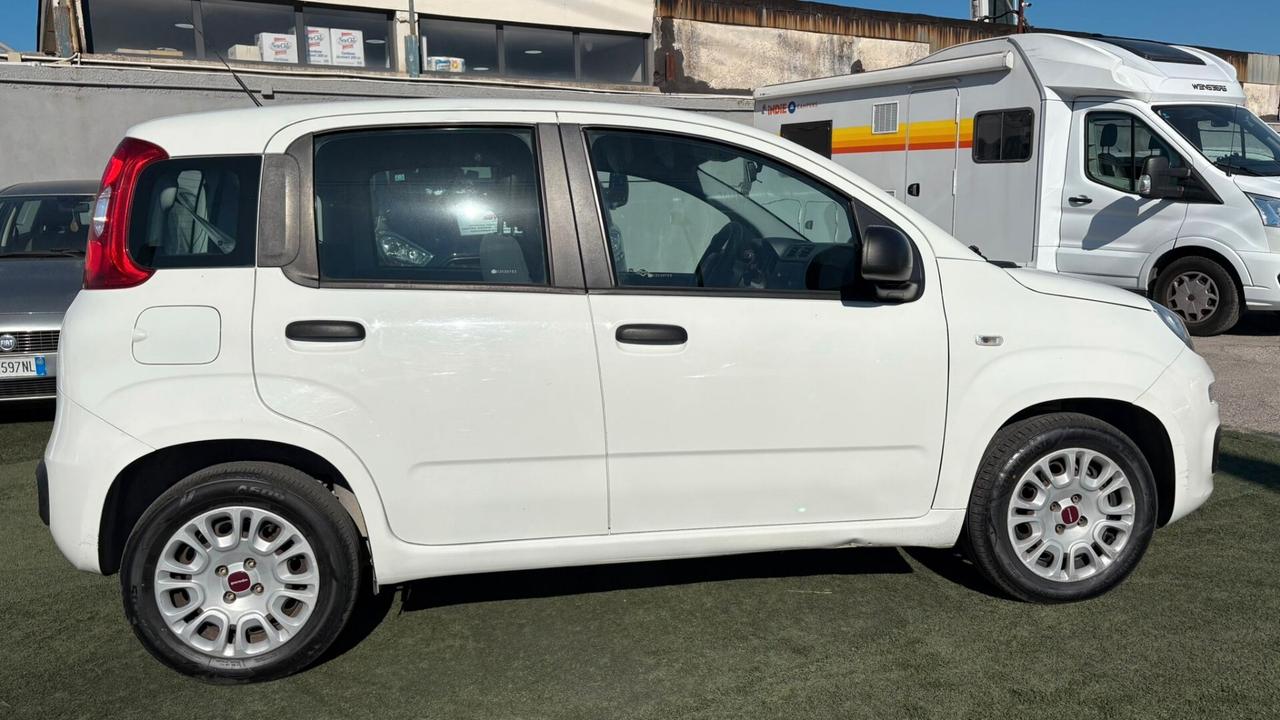 Fiat Panda 1.2 312PXA1A | BENZINA| 169A4000 CC 1242 CV 69 KW 51 BERLINA, 5 P.