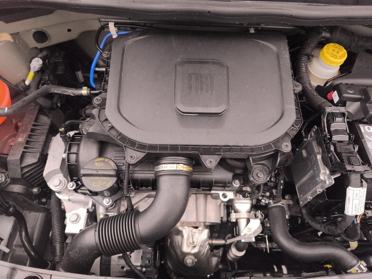 FIAT Panda III 2024 - Panda 1.0 firefly hybrid s&s 70cv 5p.ti