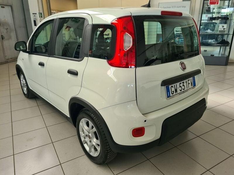 FIAT Panda 1.0 FireFly 70cv S&S Hybrid Pandina