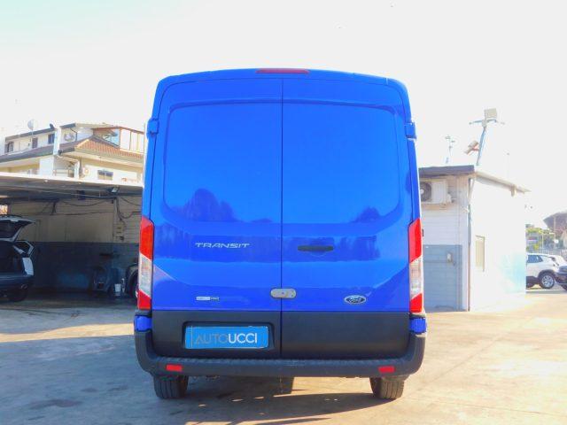 FORD Transit 290 2.0TDCi EcoBlue MHEV 130CV PM-TM Furgone Trend
