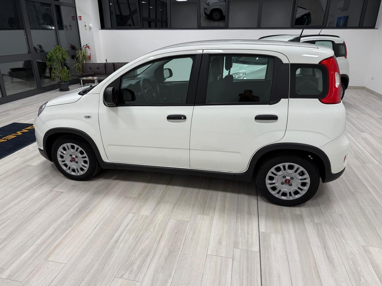 Fiat Panda FyreFly Hybrid S&S
