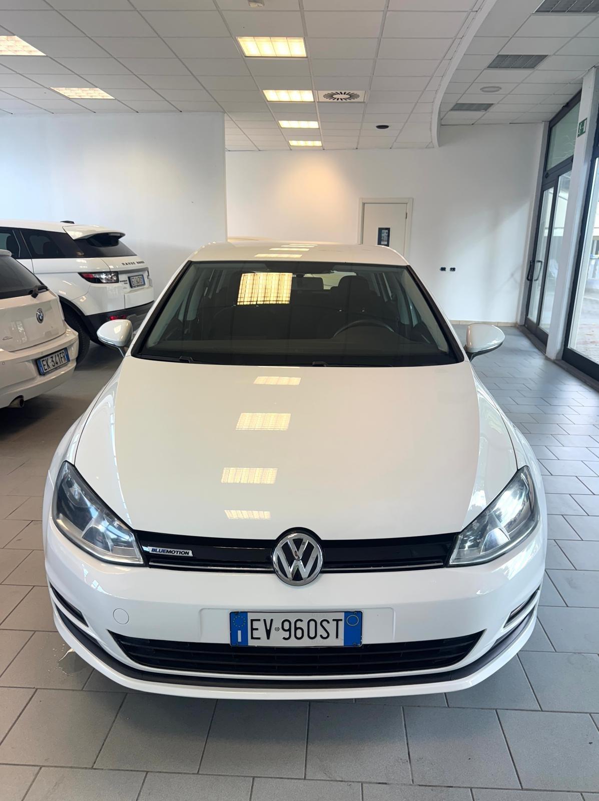 Volkswagen Golf Business 1.4 TGI 5p. Highline BlueMotion