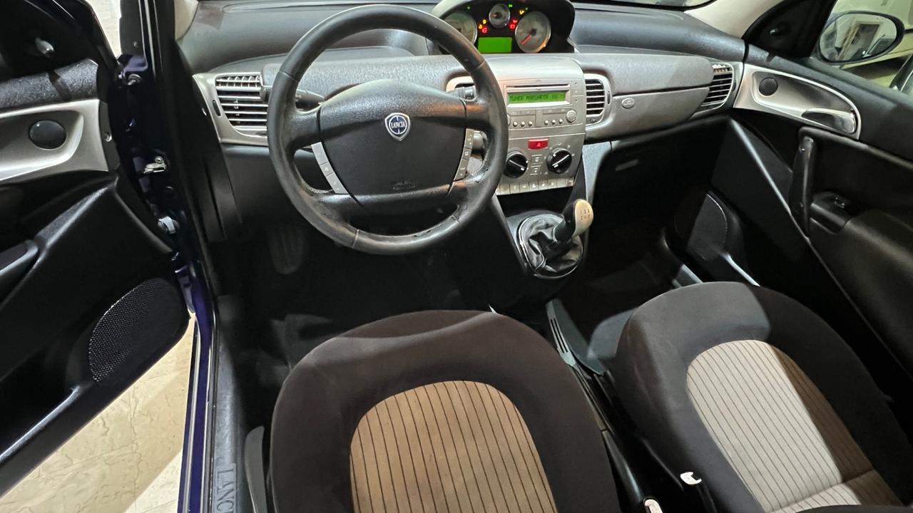 Lancia Ypsilon Platino tetto