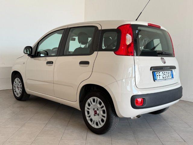 FIAT Panda 1.2 Pandazzurri