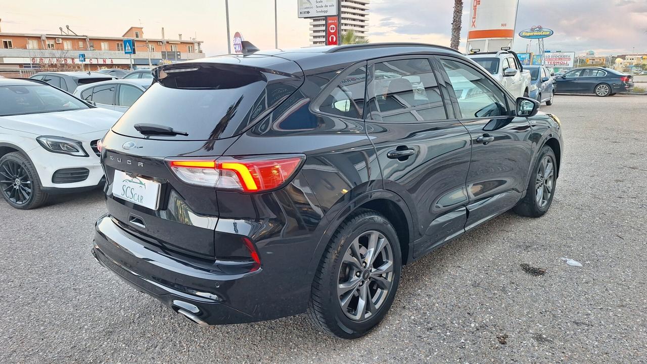 Ford Kuga 1.5 EcoBlue 120 CV ST-Line