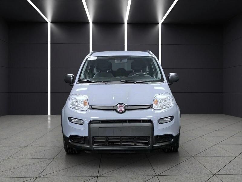 FIAT Panda 3ª serie Panda 1.0 FireFly S&S Hybr...