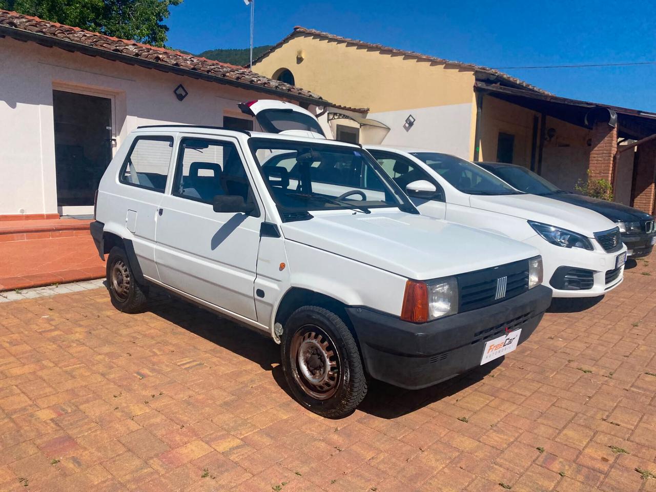 Fiat Panda 1100 i.e. cat Young