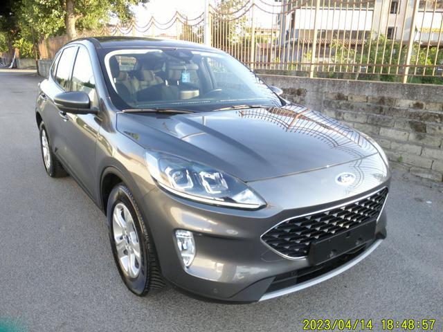 FORD Kuga 1.5 EcoBlue 120 CV aut. 2WD Titanium Business