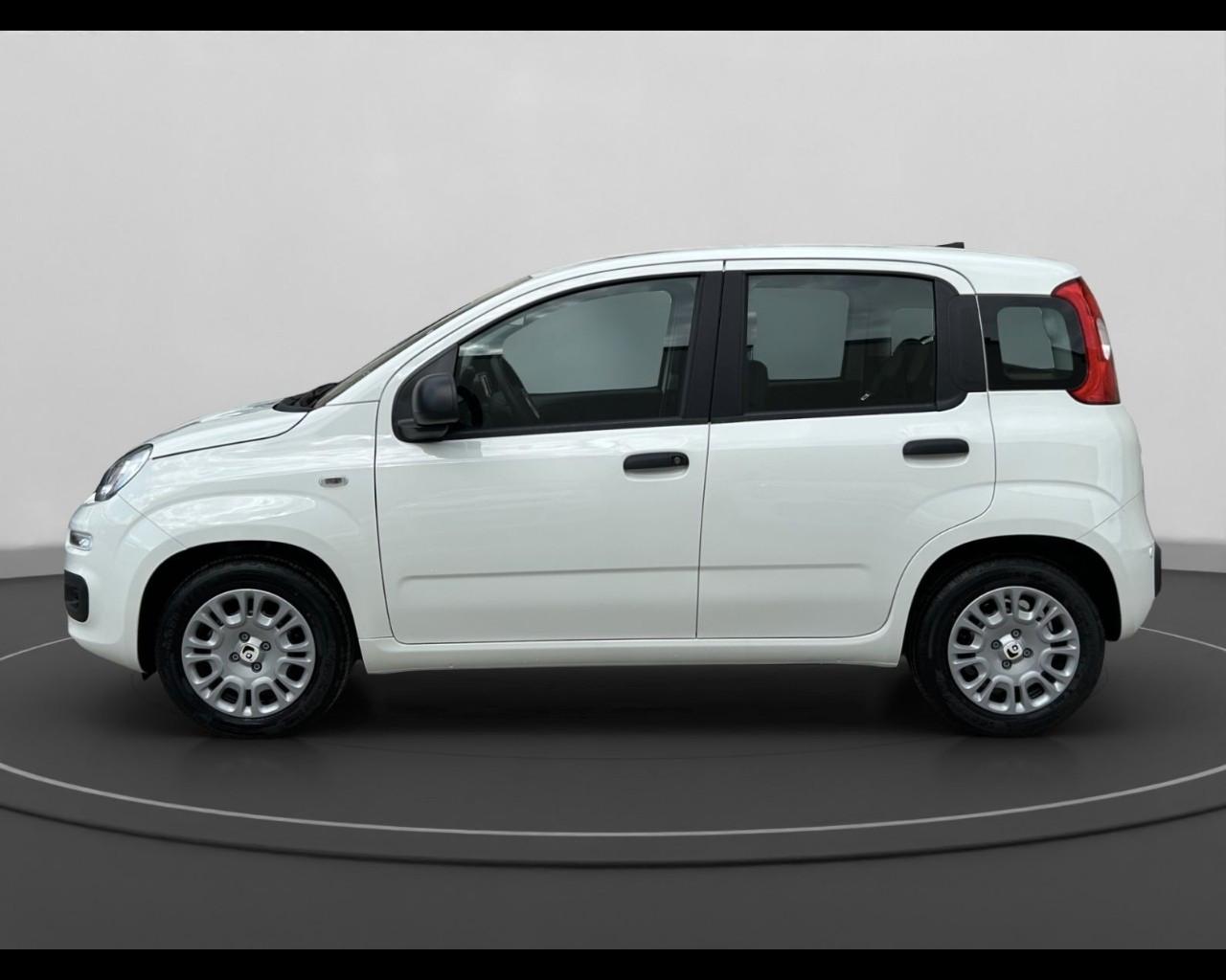 FIAT Panda 1.0 70cv Hybrid Panda