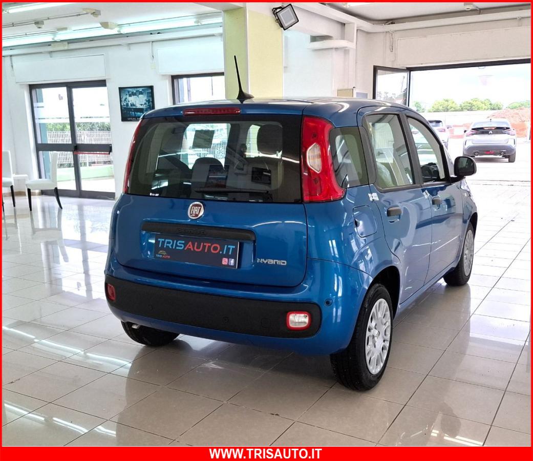 FIAT Panda 1.0 FireFly S&S Hybrid 5p.ti NEOPATENTATI