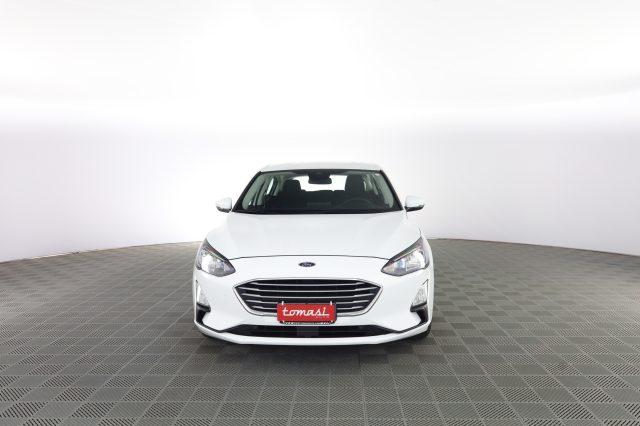 FORD Focus Focus 1.5 EcoBlue 120 CV 5p. Business