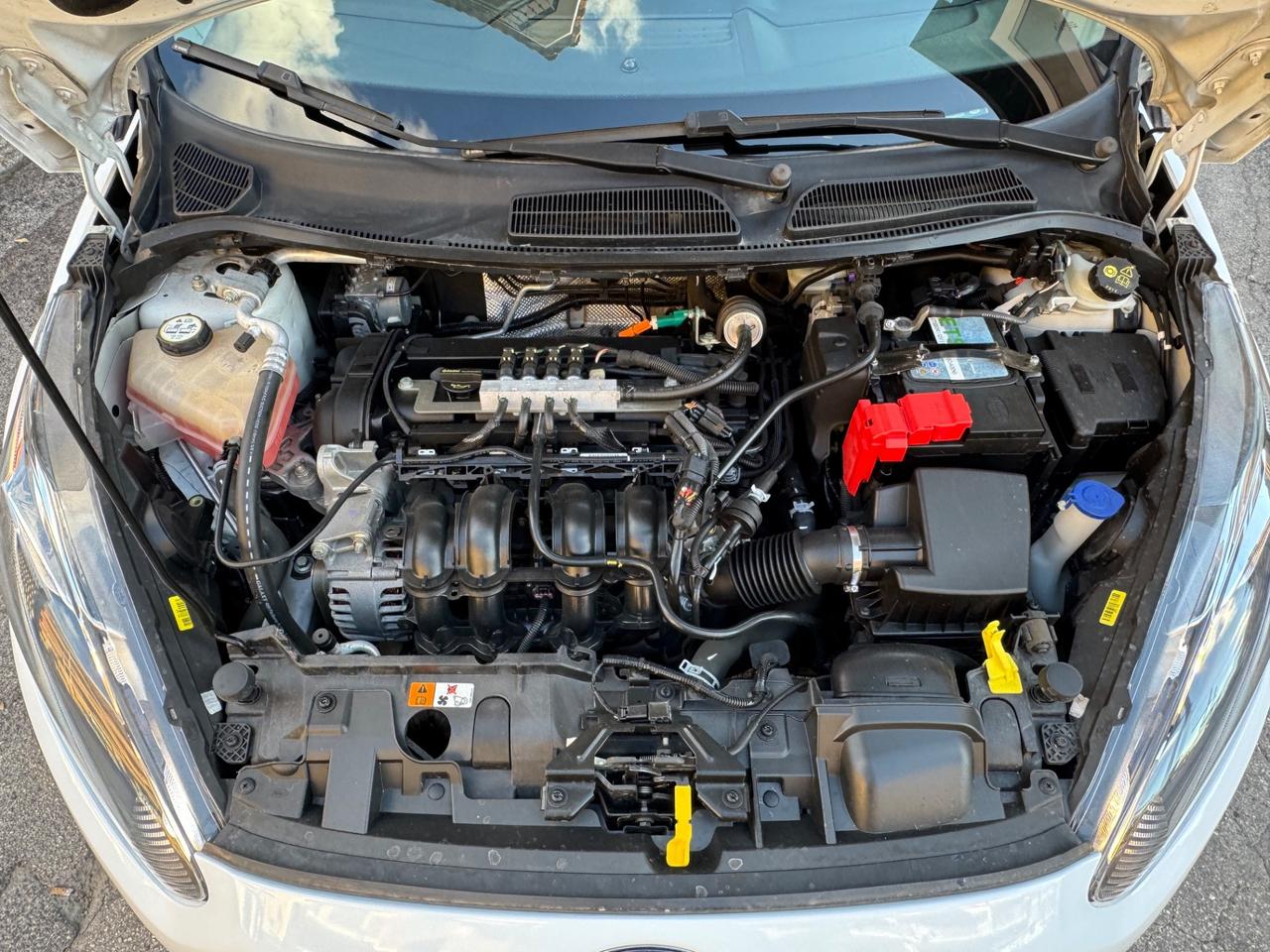 Ford Fiesta 1.4 5 porte GPL Business