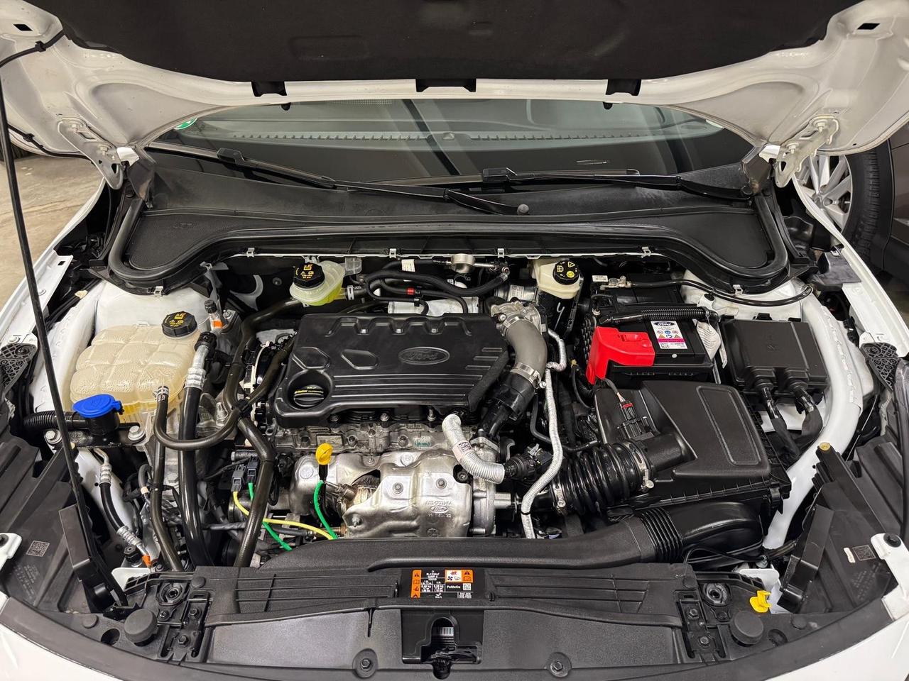 Ford Focus 1.5 EcoBlue 120 CV automatico 5p. Business