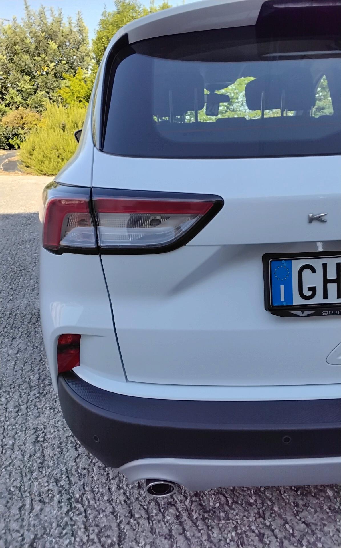 Ford Kuga 1.5 EcoBlue 120 CV aut. 2WD Titanium Business