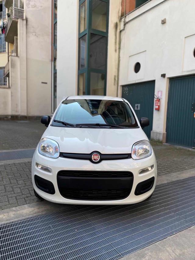 FIAT Panda 1.0 ICON Hybrid CAR PLAY 5"POSTO-SENSORI