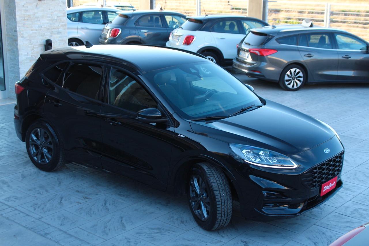 Ford Kuga 2.0 EcoBlue 190 CV aut. AWD ST-Line X