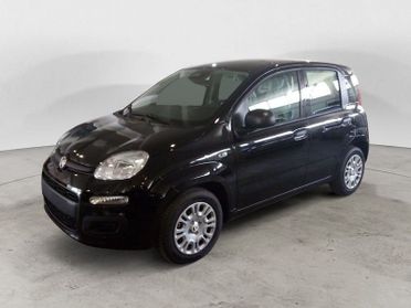 FIAT Panda NEW My25 1.0 70cv Hybrid Panda