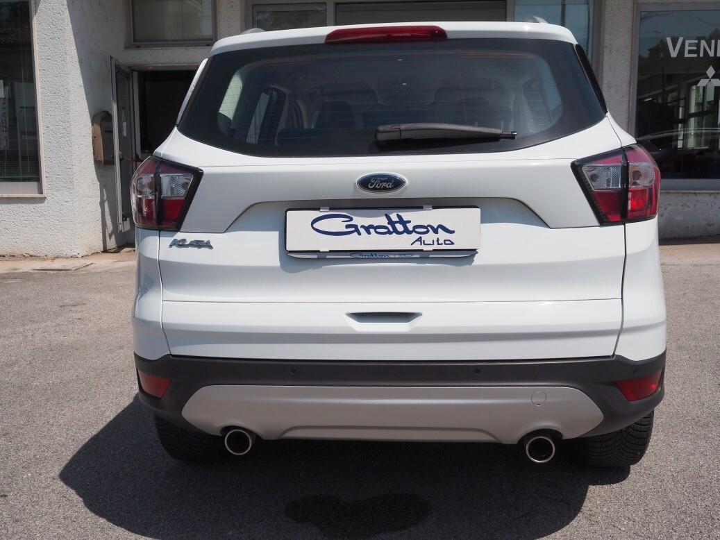 Ford Kuga 1.5 Benzina 120 CV Business del 2019