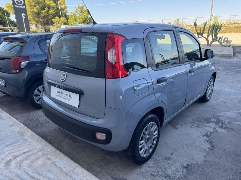 FIAT Panda Panda 1.2 Easy