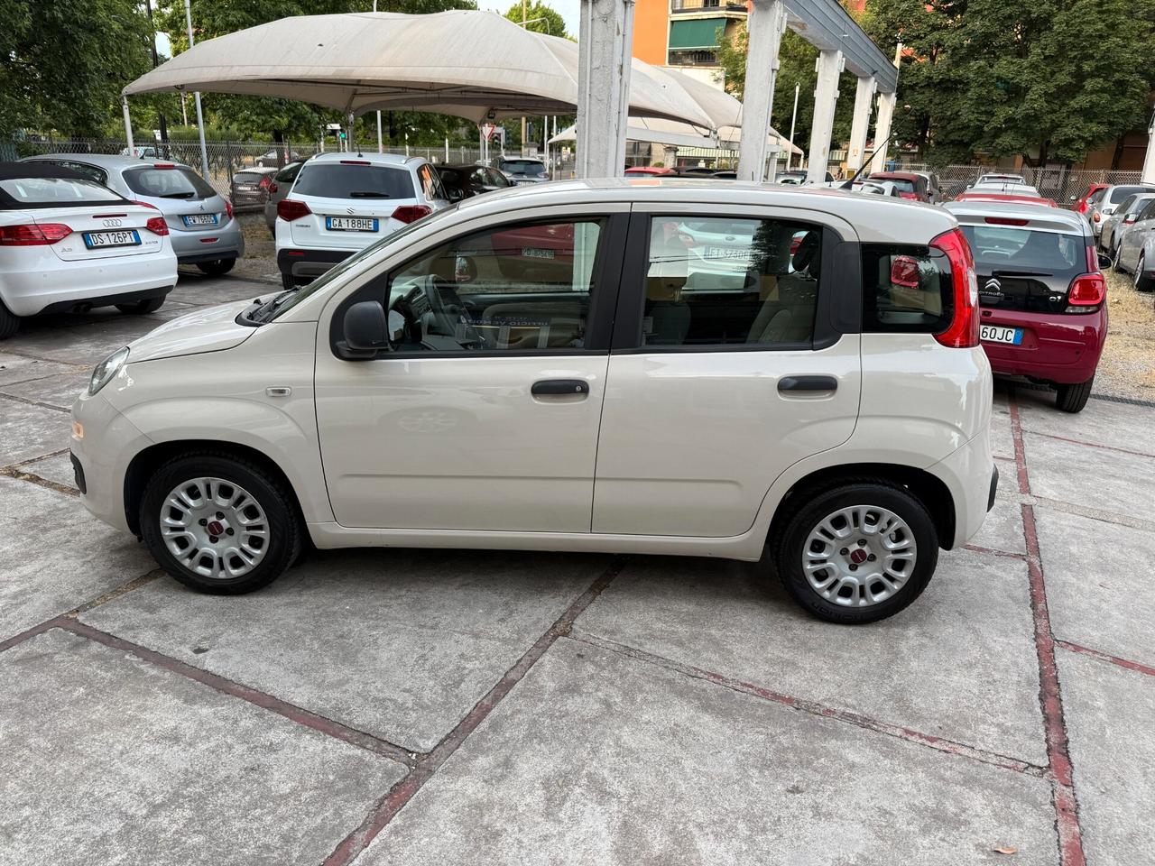 Fiat Panda 1.2 Lounge OK NEOPATENTATI