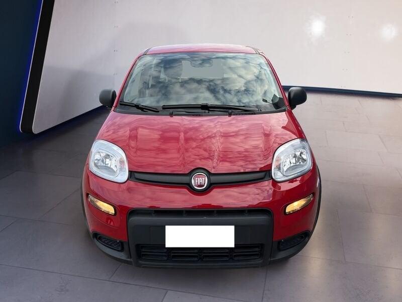 FIAT Panda My24 1.0 70cv Hybrid Panda