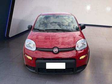 FIAT Panda My24 1.0 70cv Hybrid Panda