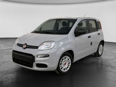 FIAT Panda III 2021 - Panda 1.0 firefly hybrid s&s 70cv