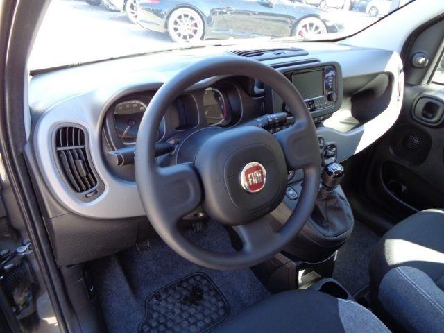 FIAT New Panda 1000 HYBRID CITY LIFE 70CV GRIGIO MAESTRO ITALIA