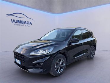 FORD Kuga 1.5 ecoblue ST-Line 2wd 120cv auto del 2022