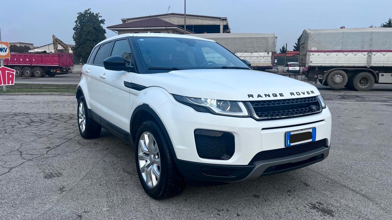 Land Rover Range Rover Evoque Range Rover Evoque 2.0 TD4 150 CV 5p. Pure