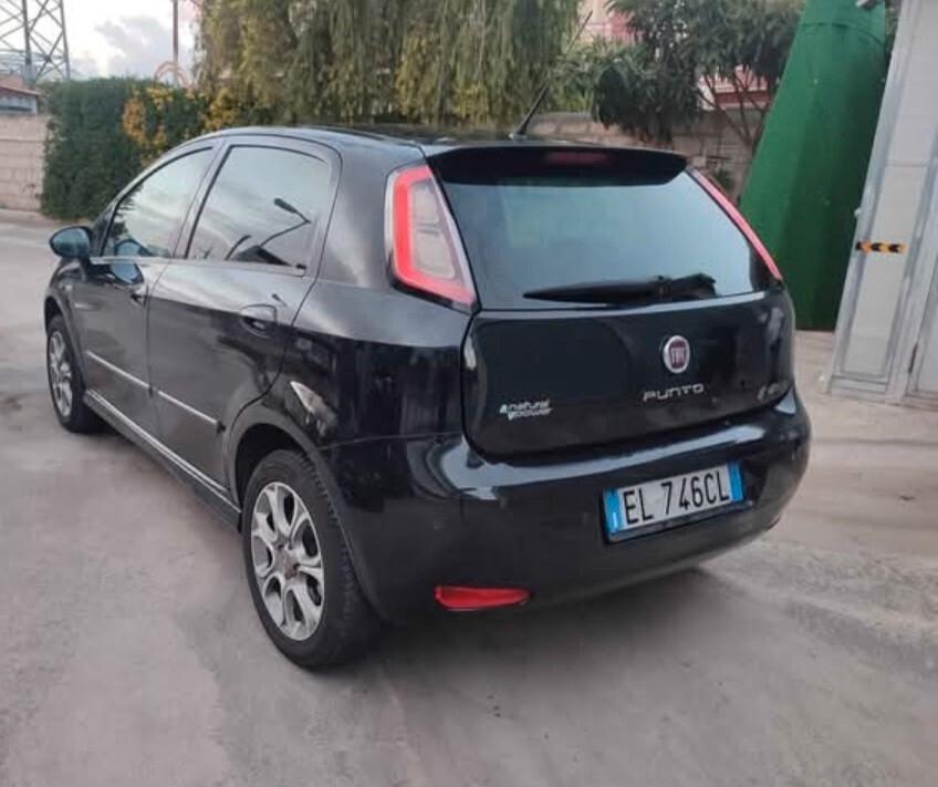 Fiat Punto 1.4 8V 5 porte Natural Power Street