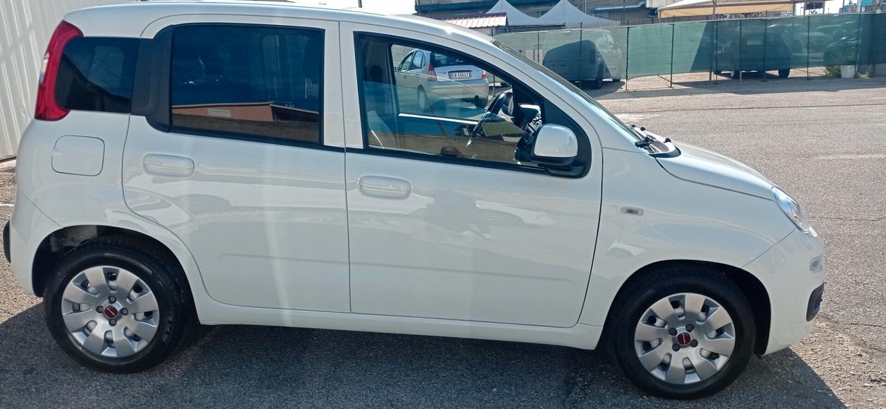 Fiat Panda 1.3 MJT 80 CV S&S Easy