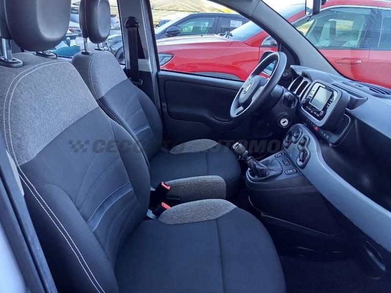 FIAT Panda Panda 1.0 firefly hybrid City Life s&s 70cv 5p.ti