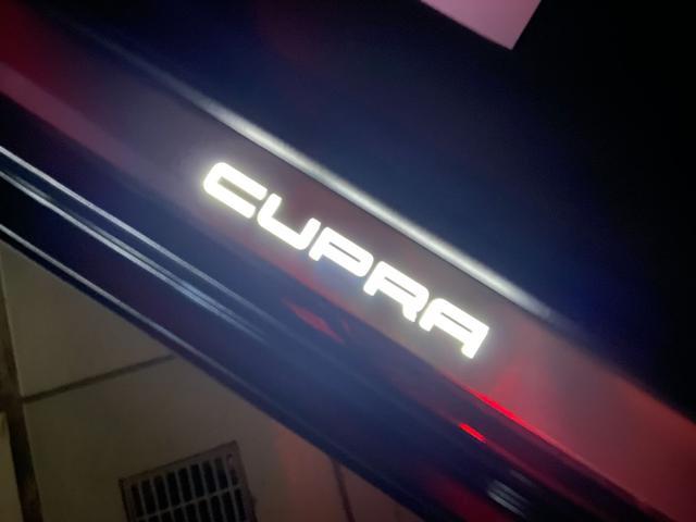 CUPRA Formentor 2.0 TDI 150 CV 4Drive DSG
