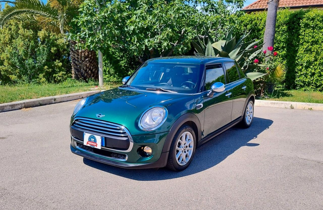 Mini Mini 1.5 One D