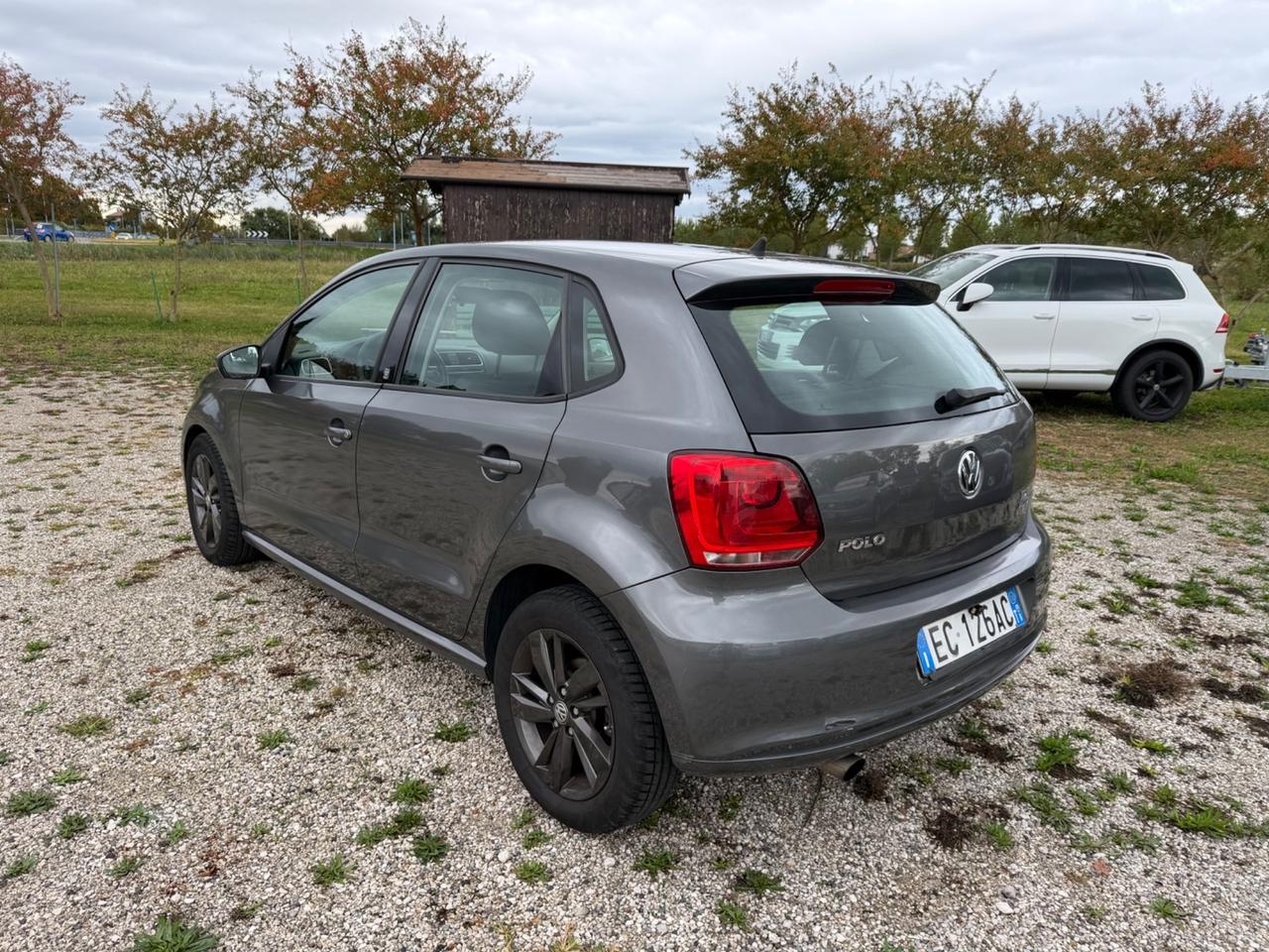 Volkswagen Polo 1.6 TDI 90CV DPF 5 porte Comfortline