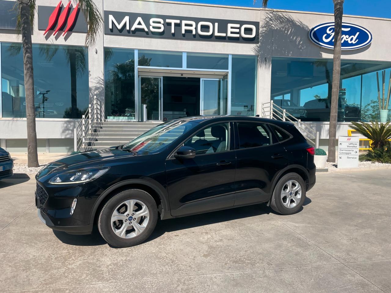 Ford Kuga 1.5 EcoBlue 120 CV aut. 2WD Connect
