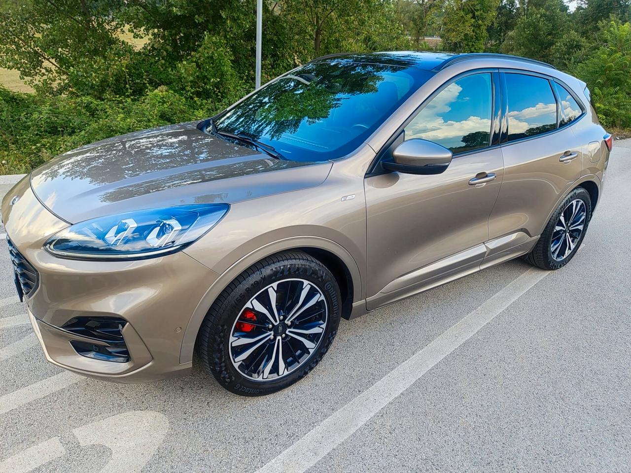 Ford Kuga 1.5 EcoBlue 120 CV aut. 2WD ST-Line Full.