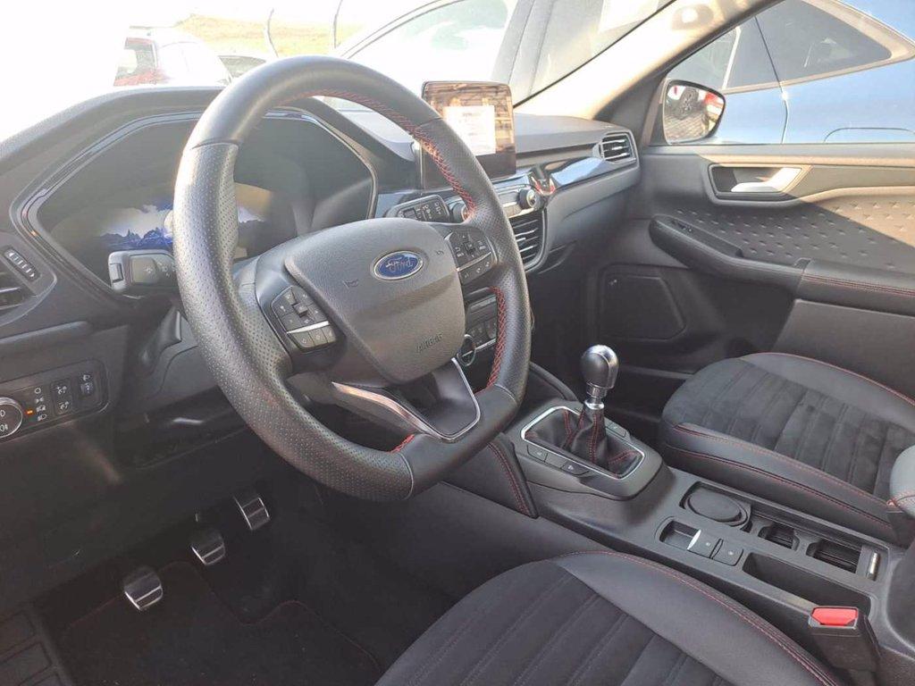 FORD Kuga 2.0 EcoBlue Hybrid 150 CV 2WD ST-Line X del 2020