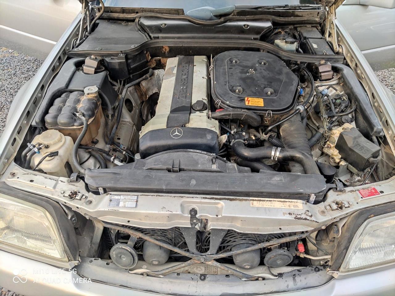 Mercedes-benz SL 300 SL-24 cat