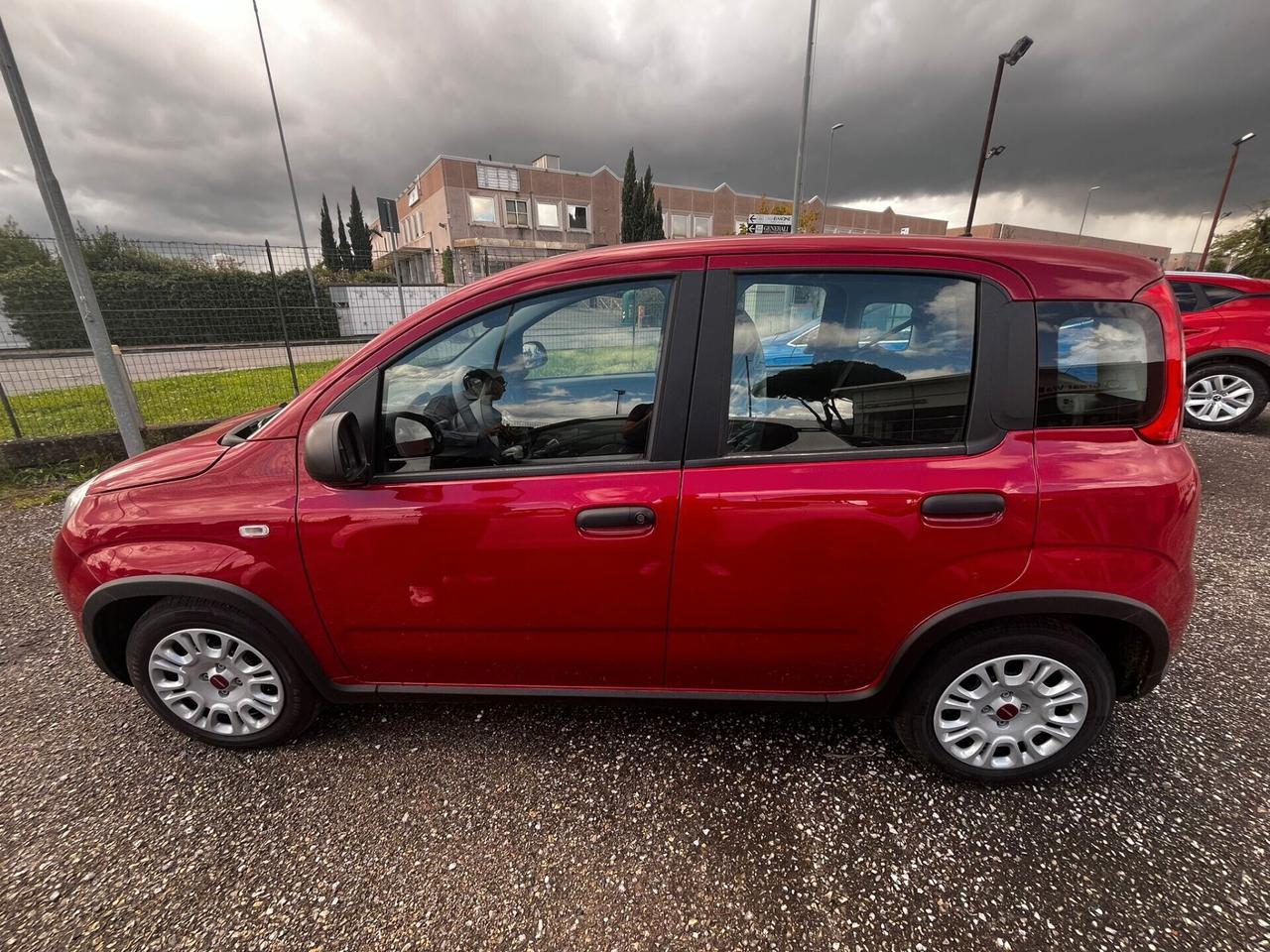 Fiat Panda 1.0 FireFly S&S Hybrid City Life