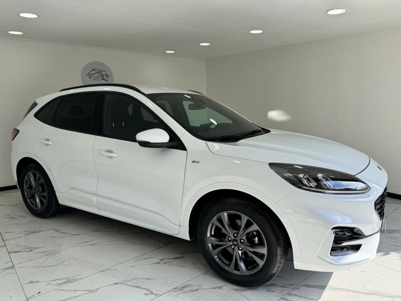 Ford Kuga 1.5 EcoBlue 120 CV-ST LINE-AUTOMATICA