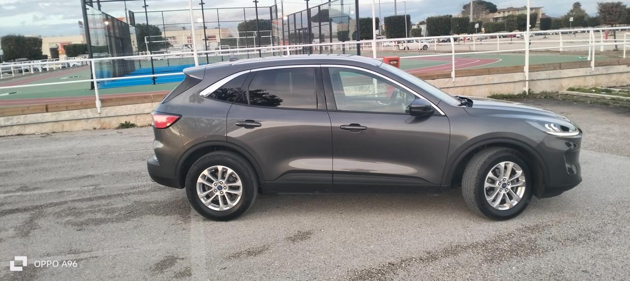 Ford Kuga 1.5 EcoBlue 120 CV aut. 2WD Connect