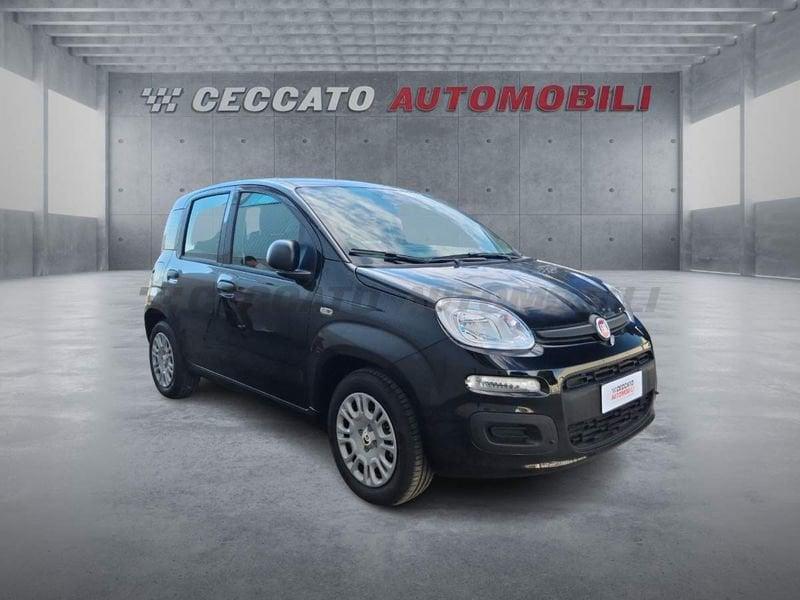 FIAT Panda Panda 1.0 70cv Hybrid Icon